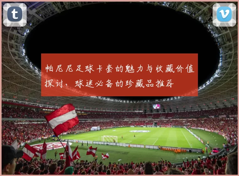 帕尼尼足球卡套的魅力与收藏价值探讨，球迷必备的珍藏品推荐